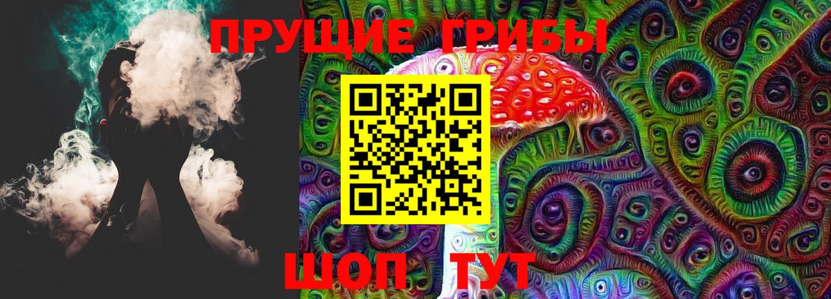 Галлюциногенные грибы Psilocybe Сорочинск