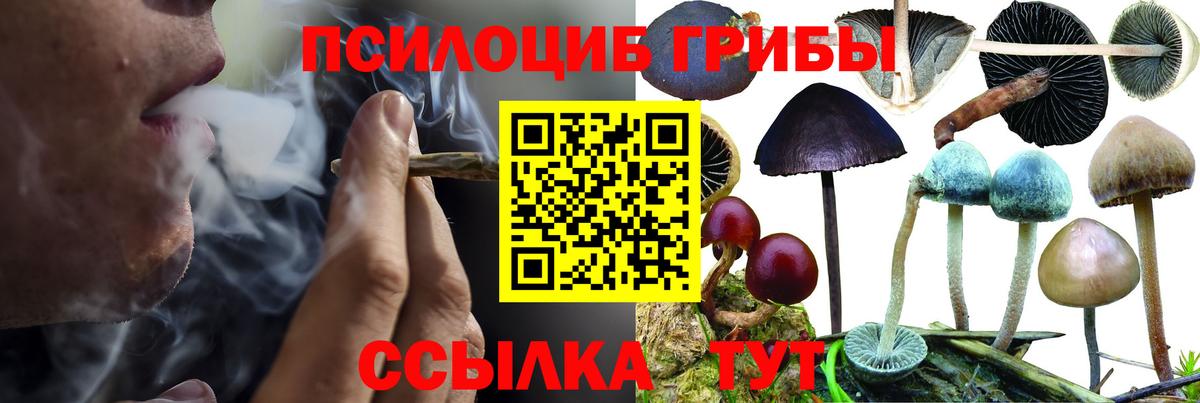 Сорочинск  Галлюциногенные грибы MAGIC MUSHROOMS  Вход с VPN  Галлюциногенные грибы мицелий 